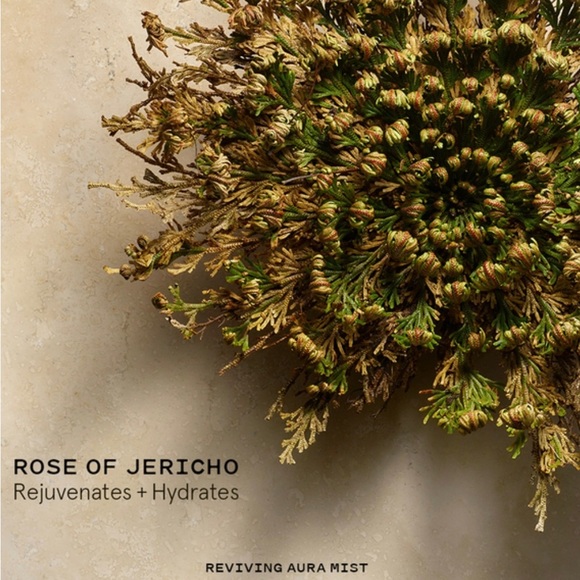 🆕 KEYS SOUL CARE REVIVING AURA MIST WITH ROSE OF JERICHO. NIB. NWT. - Picture 6 of 7